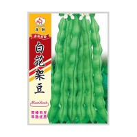 重慶本地受歡迎的四季豆品種，好吃好賣不易老化帶小時(shí)候的清香味