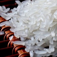 廠家直銷(xiāo)東北大米50斤【新米】批發(fā)零售金貝河長(zhǎng)粒香稻香米
