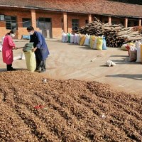 廠家批發(fā)湖北隨州油茶籽殼、茶粕、現(xiàn)貨量大從優(yōu)