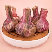 山東大蒜一件代發(fā) 干蒜，大干蒜 專業(yè)倉儲(chǔ) ERP對接 5斤裝