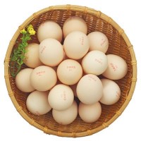 鵬昌 富硒雞蛋健康雞蛋廣東名牌雞蛋產(chǎn)蛋24小時內(nèi)新鮮發(fā)貨20枚