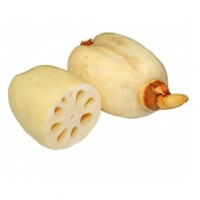 供應新鮮蓮藕 天然種植 綠色蔬菜 優(yōu)質蓮藕 批發(fā)價格優(yōu)惠