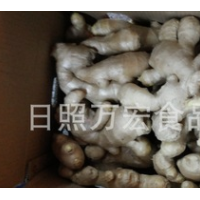生產(chǎn)工廠供應(yīng)出口生姜，風(fēng)干姜，保鮮姜。