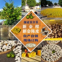 正宗新會柑、新會陳皮批發(fā)