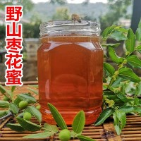 農場蜂蜜棗花蜜 蜂農自產(chǎn)自銷棗花原蜜貼牌 500g土蜂蜜批發(fā)