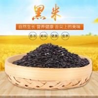 批發(fā)25kg五谷雜糧黑米 袋裝東北黑香米 煮粥做飯營養(yǎng)健康濃香