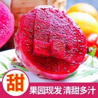水果批發(fā)金都一號當季紅心火龍果新鮮農產品整箱5斤一件代發(fā)