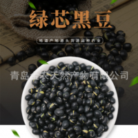 廠家直供黑皮綠仁烘炒黑豆-量大質優(yōu)，出口品質