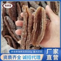 廠家直銷凍干海參 冷凍水發(fā)赤蟲(chóng)參 速東酒店海鮮食材批發(fā)