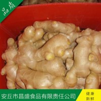 出口歐美、加拿大、荷蘭、英國級保鮮姜、風(fēng)干姜（價格面議）