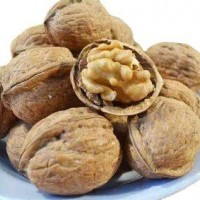 新貨上市，常年供應(yīng)核桃，質(zhì)量保證 價格優(yōu)惠