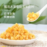 【榨汁甜玉米?！?現(xiàn)榨玉米汁 香濃玉米汁