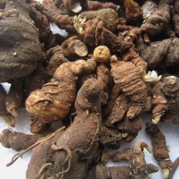 中藥材供應 重樓 七葉一枝花 原產(chǎn)地批發(fā)直銷