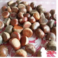 遷西栗子新鮮，生板栗新鮮，遷西板栗子