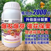 1000毫升多肉植物細(xì)胞分裂素催芽劑促花促生長?；ū９~面肥正品