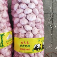 大蒜公司，源頭工廠供應(yīng)金鄉(xiāng)出口大蒜，超市大蒜